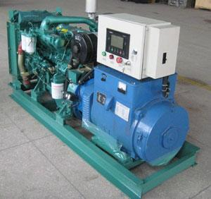 广平发电机出租